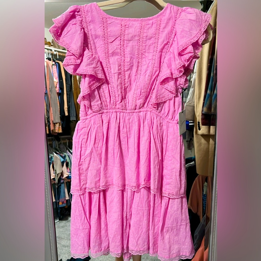 Pink flutter sleeved dress.
